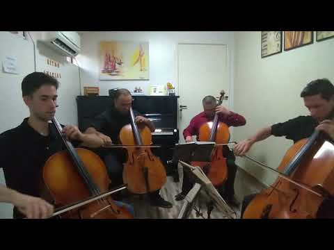 Hino 391 - Um peregrino sou aqui #ccbhinario5 #cordasccb #shorts #hinosccb