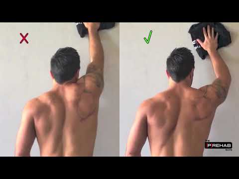 Wall Slides for Serratus Anterior  Activation