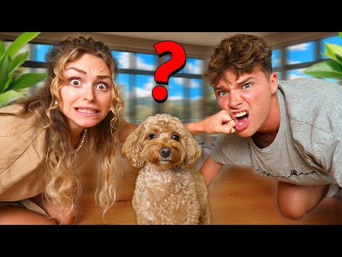 Hvem elsker Baloo MEST?!