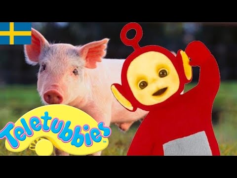 Teletubbies Svenska: Säsong 9 , Episod 218 | Utställningar för barn