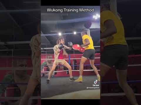 Boxing Mitts Training AMSB Wukong Training Method
