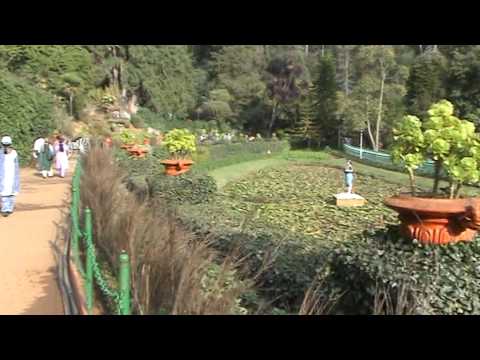 In Botanical Garden, Otty.