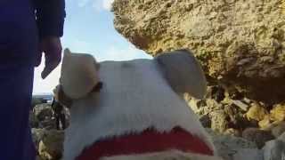 preview picture of video 'GOPRO, Harness Attachment on a Staffordshire. At Majjitral Park, Malta. Watch in HD.'