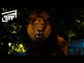 Animal S Secret Meeting Zookeeper 2011