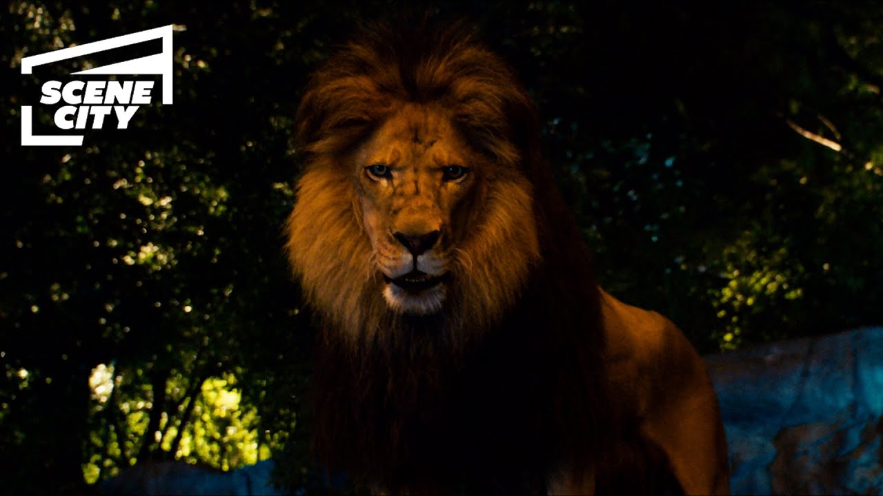 Zookeeper 2: Animal Instincts Review – Chaos, Comedy, and a Wild New Heroine