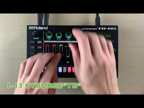 Roland TR-6S Preset Sound Demo