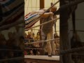 A Martial Arts Masterpiece Shorts Jet Li S Fearless