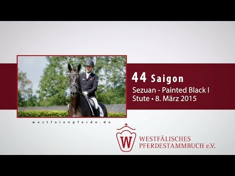 44 Saigon  Stute v. Sezuan - Painted Black I