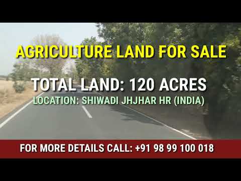  120 Acre Agricultural/Farm Land for Sale in Bahadurgarh, Jhajjar