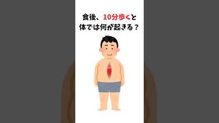 【雑学】食後、10分歩くと体では何が起きる？