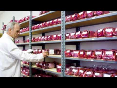 Aero-TV: Efrain Lopez - 2018 AEA Member of the Year