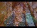 Henry Gross - Shannon (1976).avi