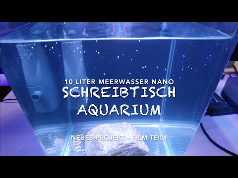 Schreibtisch Büro Flying Riff Reef 10 Liter Tank Mini Ohne Filter Abschäumer und Heizung Günstig