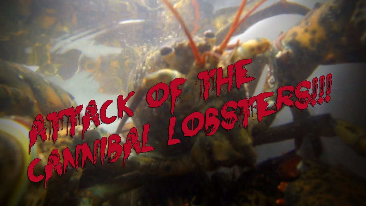 Attack of the Cannibal Lobsters - YouTube