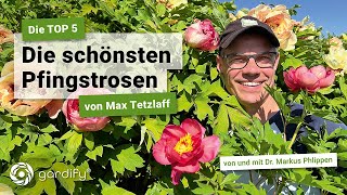 Die Top 5 - Die schönsten Pfingstrosen von Max Tetzlaff | gardify Tipps