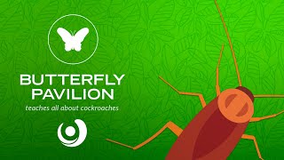 Varsity Tutors' StarCourse: Cockroach Encounter with BUTTERFLY PAVILION