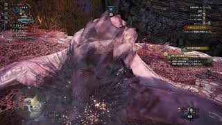 武器縛りで再度始まるモンハンワールド＃3