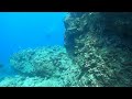 Octopus Speed