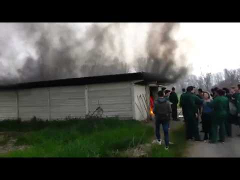 Come dare fuoco al capanno della nostra scuola!! Grande martinoo! Vai cosìi!