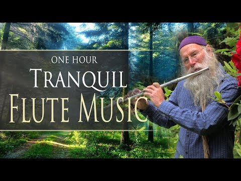 One Hour Healing Tranquil Flute Music ❤️