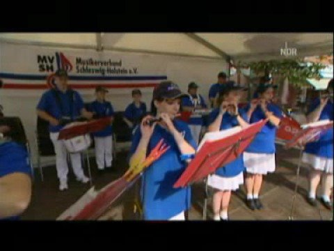 Landesmusikfest Schwarzenbek 2008
