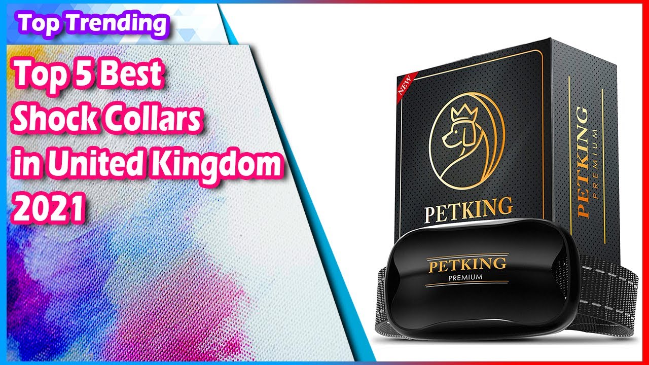 Top 5 Best Shock Collars in United Kingdom 2021 - Must see