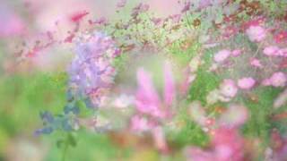 Fine flowers in the valley