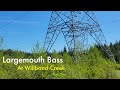 Video Thumbnail for Largemouth Bass at Willband Creek (Part One)