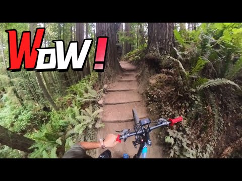 Arcata INSANE Bike Trail!