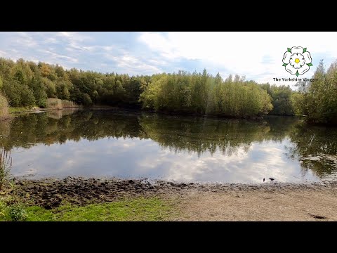 WALTON COLLIERY NATURE PARK | Wakefield. West Yorkshire. England (Vlog #12)