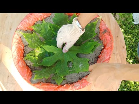 Make amazing flower pots at home / beautiful and simple flower pots with Leaves