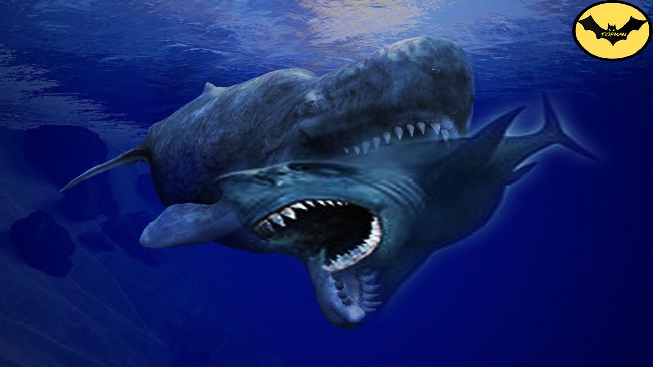 Il Peggior Nemico Del T Rex