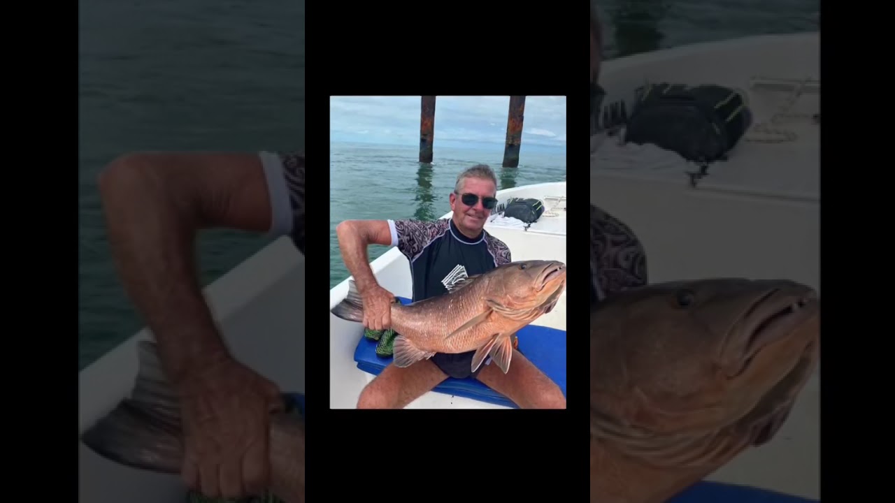 Hôtel Kasa Afrikana