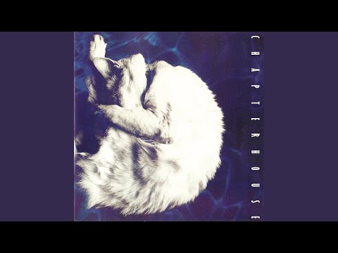 Video thumbnail for In My Arms