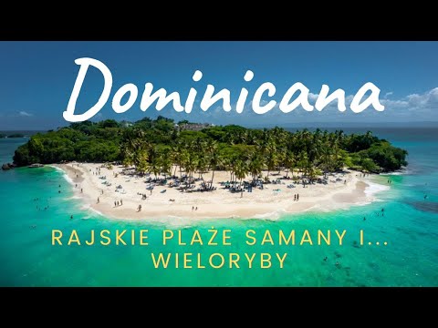 The most beautiful beaches, whales or the Dominican paradise on the Samana Peninsula