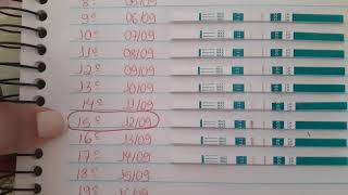 Teste de ovulao Famivita- resultados !!!!