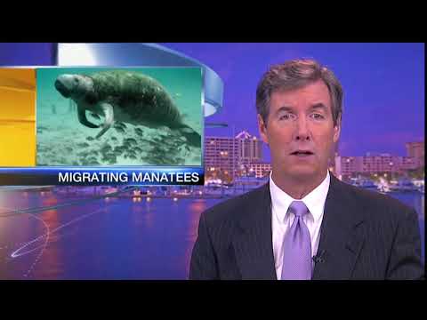 Good Morning Suncoast at 5am - November 2, 2017