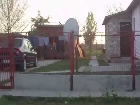 Iohanisfeld August 2011-2