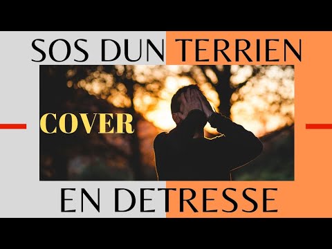 SOS dun terrien en detresse (cover)