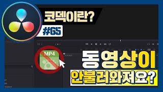 다빈치리졸브에 동영상이 왜 안들어가는걸까요? (코덱과 확장자의 관계)