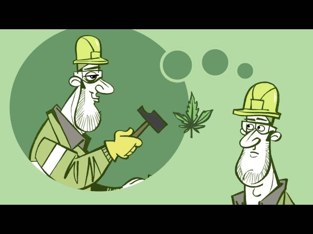Vídeo relacionado con Como enfrentar el peligro de las drogas: Tacticas para prevenir o superar el consumo de cafe, tabaco, alcohol, medicamentos psicoactivos, marihuana, cocaina, opio y otras drogas (Spanish Edi