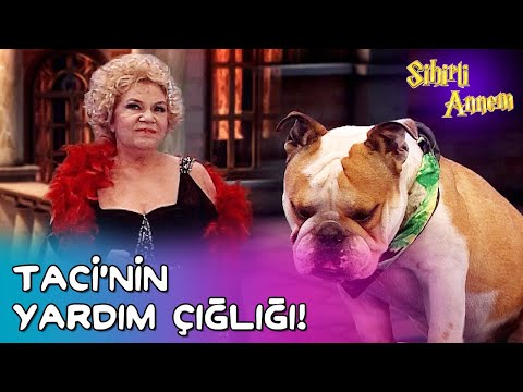 Sihirli Annem - Taci'nin Yardım Çığlığı!