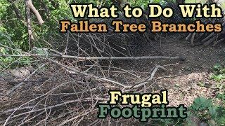 What to Do With Fallen Tree Branches: Time-lapse Brush Pile Cleanup