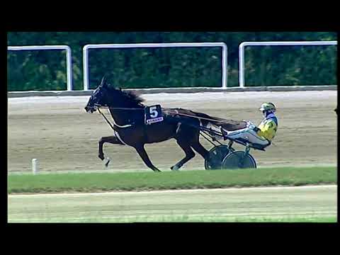 Napoli Trotto 08/05/2021 - 2ª corsa