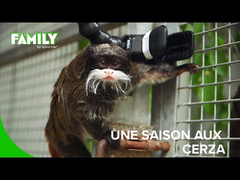 Une saison au cœur du Cerza : le plus incroyable zoo de Normandie