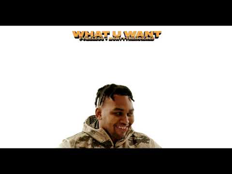 FVMELESS & Montythehokage - WHAT U WANT (Official Music Video)