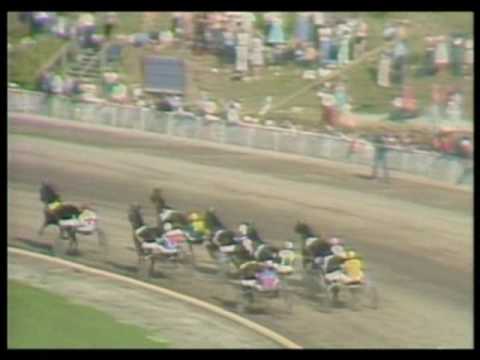 Elitloppet 1981