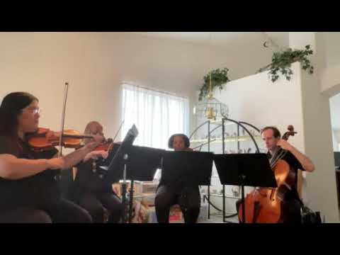 Promotional video thumbnail 2 for Quartet Elegancia