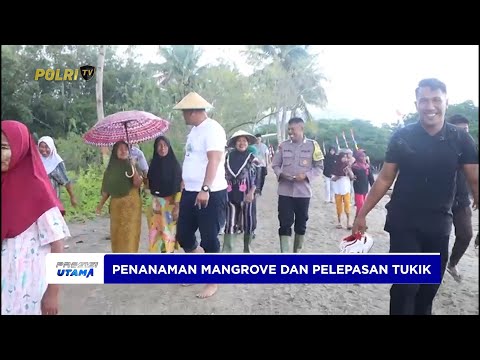 POLRES HALMAHERA BARAT HADIRI PENANAMAN MANGROVE DAN PELEPASAN TUKIK