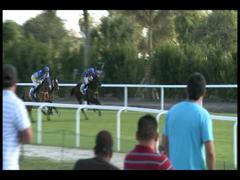 Palm Beach Steeple Chase 2008 Review